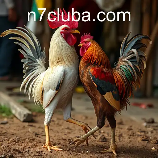 The Intriguing and Controversial World of Cockfighting: A Deep Dive into 